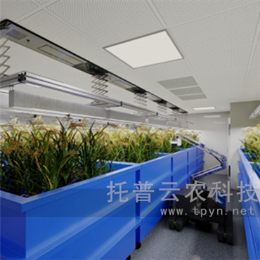 无人车式高通量表型采集分析平台（侧升式）